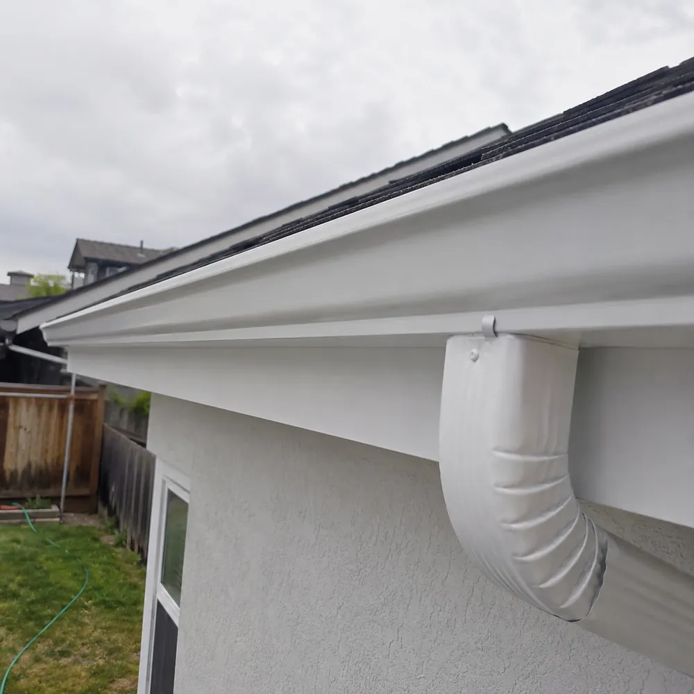 Gutter cleaning — after