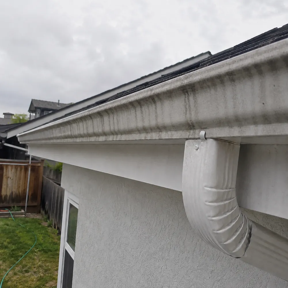 Gutter cleaning — before